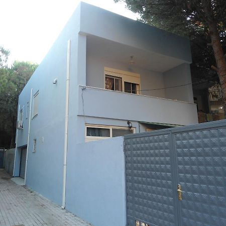 Vacation Home Dibra Velipoje Bagian luar foto